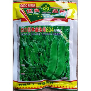 广州祥胜 出口型丰盛改良604荷兰豆种子 台湾选种 抗病性强 结荚率高 商品性好 荷兰豆种子 500克装