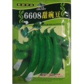 广东爱普农 6608甜碗豆种子 甜脆豌豆 高产 白花 品质优良 出口首选 甜豌豆种子 400克装