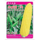 广东现代金穗 华威甜1号玉米种子 优质 高产 高...