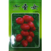 广东爱普农 圣女小番茄种子 早生 抗病性强 椭圆形 果桃红色 不易裂果 番茄种子 100粒装