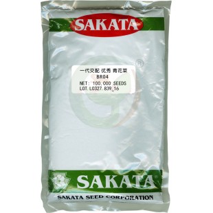 香港高华 优秀青花菜种子 日本SAKATA选育 香港高华种业出品 青花菜种子 100000粒装