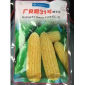 广东广良公司 广良甜31号 热带类型甜玉米种子 ...