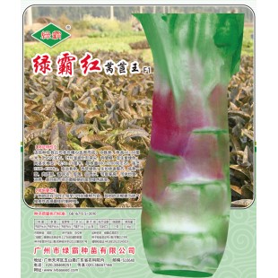广州绿霸 绿霸红莴笋种子 中晚熟 香味浓 皮薄 品质优 可食率高 是目前市场上最畅销的理想绿色蔬菜 10克装 莴笋种子