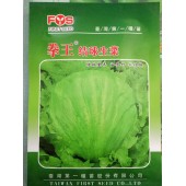 台湾第一种苗 拳王结球生菜种子 结球性好 抗热 耐烧心 抗病性强 丰产亩产帮3000公斤 生菜种子 10克装
