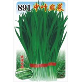 广西子龙 891中叶韭菜种子 烧烤专用 耐热 耐...