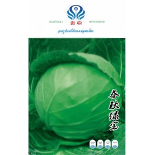 贵州力合农业 春秋绿宝甘蓝种子 早熟 叶球圆球形 坚实 叶质脆嫩 耐裂球 不易未熟抽苔 10克装 甘蓝种子