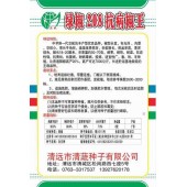清远清蔬 绿椒208抗病椒王种子  早熟 抗病 高产  新一代青椒品种 辣椒种子 5克装