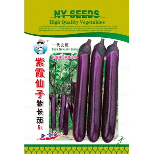 广州农源 紫霞仙子 中晚熟 果实长条形 紫红色 光泽好 果较直 果粗约5厘米左右 1000粒装 茄子种子