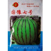 豫艺种业 国豫七号西瓜种子 易坐瓜 果皮韧性好 不易裂瓜 西瓜种子 300粒袋