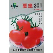 广东爱普农 夏皇301 有限生长型番茄种子 果色鲜红 抗病性强 5克装