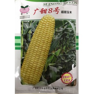 广州乾农 广甜8号玉米种子 籽粒大 口感好 品质优 皮薄无渣 玉米种子 200克装