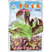 深圳范记 紫红生菜种子 意大利引进 爽脆味香 可做无公害蔬菜品种 生菜种子10克装