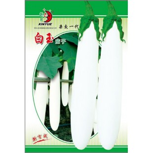 广州绿霸 白玉茄子种子 果长26-33厘米 单果重250-350克 皮乳白色 茄子种子 5克装