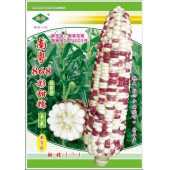 广州绿霸 南粤868彩甜糯玉米种子 甜糯比例1：...