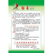 广州绿霸 白玉茄子种子 果长26-33厘米 单果重250-350克 皮乳白色 茄子种子 5克装