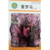 北京绿东方 紫罗马生菜 直立 红紫色 色泽艳丽 不易抽苔 较耐热 10克装 生菜种子