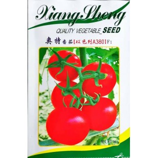 广州祥胜 奥特番茄  高档石头番茄 整齐度好 果色鲜红 果实坚硬 商品性优 亩产1万公斤以上 1克装 番茄种子
