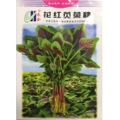 广州长和 花红苋菜种子 较耐热 叶边绿色 中间红色 叶柄浅红色 口感软滑 30克装 苋菜种子