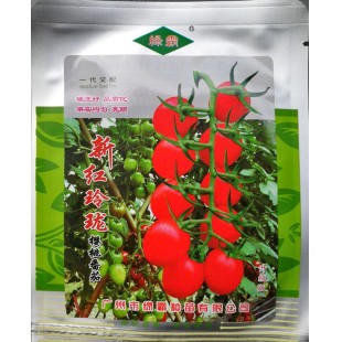 广州绿霸 新红玲珑以色列樱桃番茄种子 耐裂果 口感味鲜甜 糖度高 特耐贮运 番茄种子 1克装