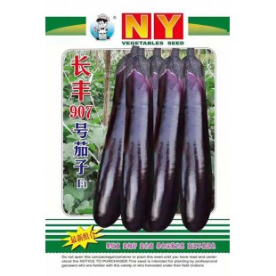 广州农源 长丰907茄子 中早熟 果较直 卖相好 果色深紫光亮 长度32厘米左右 粗约5厘米左右 高温不变白 1000粒装 茄子种子 