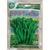 广州广南 东方尖叶甜菜心种子 早熟 粗条尖叶油青 生长快 产量高 菜心种子 400克装