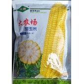 广州绿霸 大农场甜玉米 大棒甜玉米 单鲜苞最大可达600克 400克装 甜玉米种子