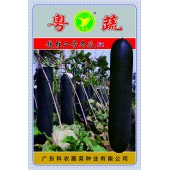 广东科农 铁柱二号冬瓜 双边籽 芽率高 10克装