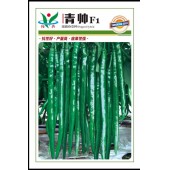 广州阳兴 青帅线椒种子 早中熟 果长23-25cm，座果型强 5克装