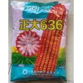 云南正大 正大636玉米杂交种  饲料玉米种 籽粒黄色 1kg装