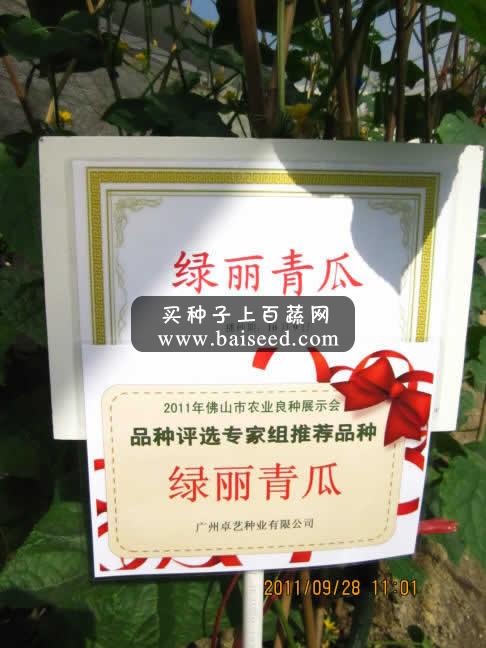 广州卓艺 绿丽青瓜种子 农科院老专家选育  获奖品种  耐低温 青瓜种子 10克装