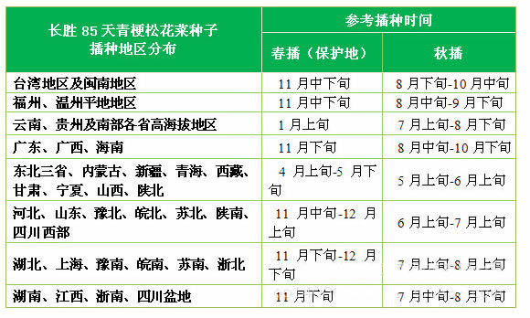 台湾长胜 长胜85天F1青梗松花菜种子 耐寒耐湿 生长强健 产量高 松花菜种子 10克装