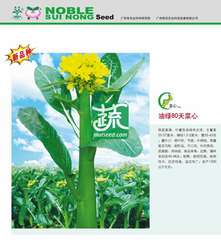 广州乾农 菜科所 农普油绿80天种子 叶柄短 耐寒 风味甜 商品率高 菜心种子 250克装