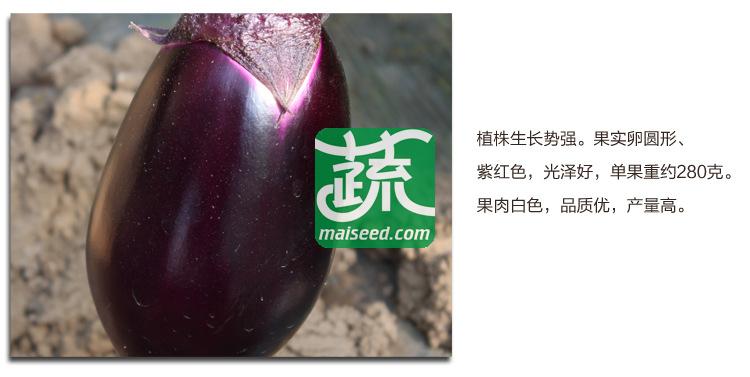 湖南湘妹籽种业 湘早红茄种子 早熟 耐寒性强 耐热 较抗病 茄子种子 8克装