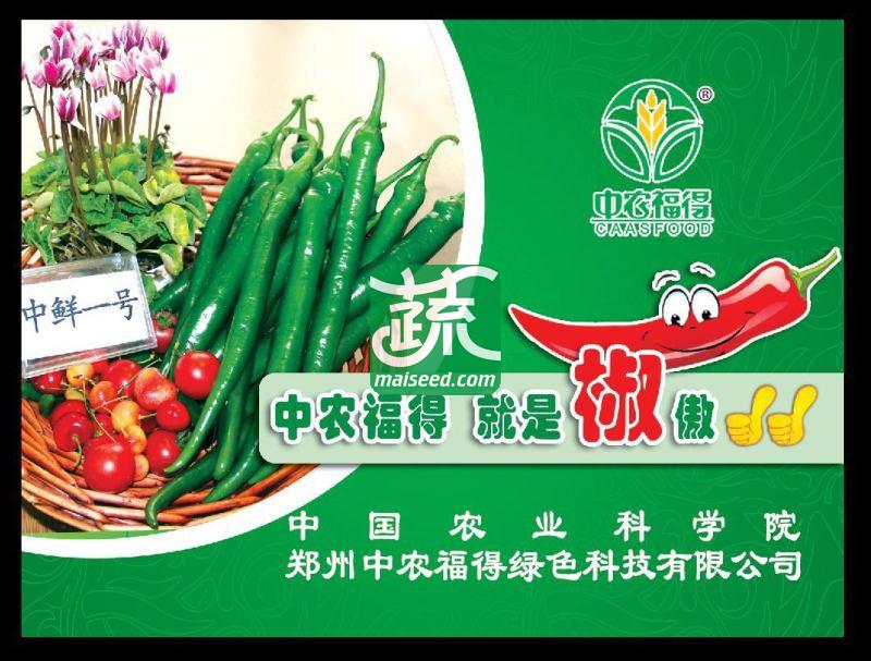 中国农科院中农福得 中鲜一号辣椒种子 全球独创 创新型品种，强力推荐 品质特优 口感极佳 辣椒种子 1000粒装