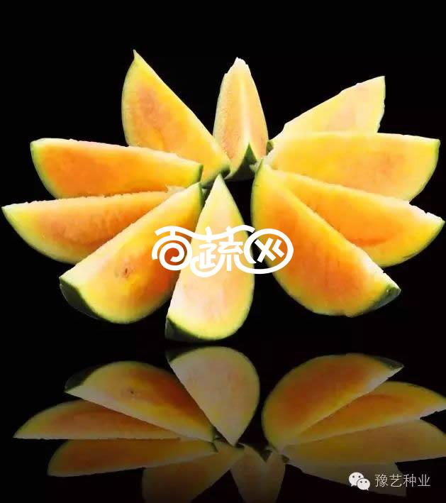豫艺种业 彩虹瓜之宝西瓜种子 口感特别 瓤质酥脆细嫩 有入口即化之感 西瓜种子 100粒装