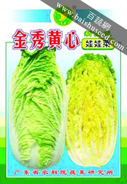 广东粤蔬 金秀黄心娃娃菜种子 广东农科院选育 定植后60天采收 球重1公斤左右 娃娃菜种子 15克