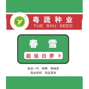 广东粤蔬 超级春雪萝卜种子 广东农科院选育 65天可采收 9月下旬至翌年1月适播 萝卜种子 50克/罐