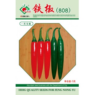 连州丰裕 铁椒808辣椒种子 特抗病 抗热 采收期特长 产量特高 辣椒种子 5克装