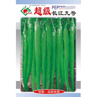 连州丰裕 超级长江九号辣椒种子 果形顺直 肉厚 香辣味浓 口感好