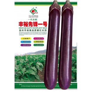 连州丰裕 丰裕先锋一号紫红长茄种子 抗病高产 果形美观 高温不变色商品性优 后期不易变短 茄子种子 5克装