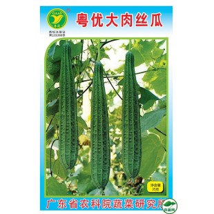 广东粤蔬 粤优大肉丝瓜种子 广东农科院选育 早熟耐热耐湿 亩产3000公斤 丝瓜种子 20克装