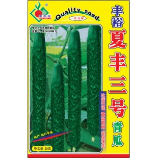 连州丰裕 夏丰三号青瓜种子 抗病性强 商品性好 爽脆味美 青瓜种子 20克装