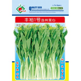 连州丰裕 丰裕1号连州菜心种子 极早熟 耐热 梗淡白色 亩产3500斤 地理标识品种 菜心种子 10克装