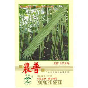 广州乾农 夏美一号白豆角种子 味甜 爽脆 耐贮运 抗褐纹沽病 耐热 耐湿性强 豆角种子 250克装