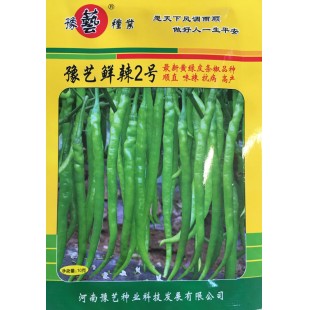 河南豫艺 鲜辣二号种子 顺直 味辣 抗病 高产 辣椒种子 10克装