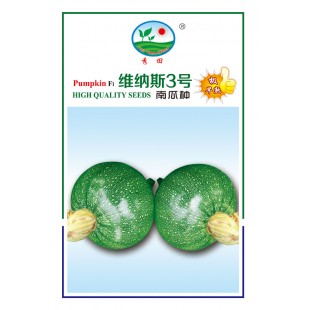 广州阳兴 维纳斯3号南瓜种子 株型独立 少分枝 生长势强 南瓜种子 100粒装