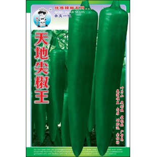 广州农源 天地尖椒王种子 粗长顺直 光亮肉厚 辣味好 特耐贮运 适应性强 商品性优 辣椒种子 5克装