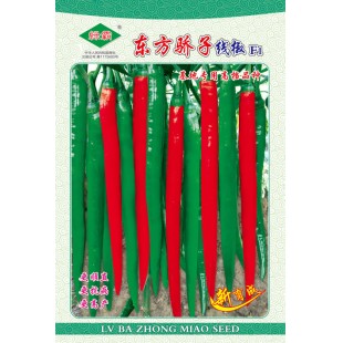 广州绿霸 东方骄子线椒种子 辣味浓 口感好 食味佳 耐贮藏运输 适应性广 连续采收期长 产量高 辣椒种子 5克装