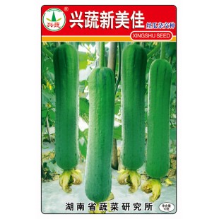 湖南兴蔬 兴蔬新美佳丝瓜种子 特早熟 丰产 商品性优 耐贮运 丝瓜种子 10克装