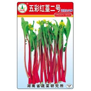 湖南兴蔬 五彩红薹二号菜苔种子 早中熟 丰产 抗逆性强 品质好 菜薹种子 10克装